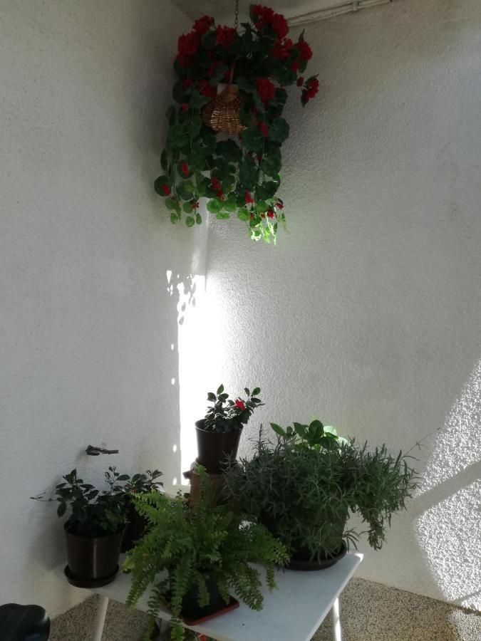 Apartments Culav Makarska Eksteriør billede